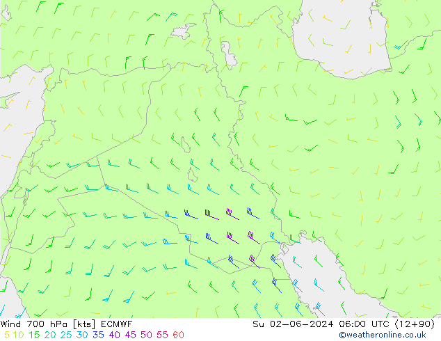 Wind 700 hPa ECMWF zo 02.06.2024 06 UTC