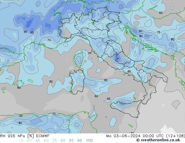 925 hPa Nispi Nem ECMWF Pzt 03.06.2024 00 UTC