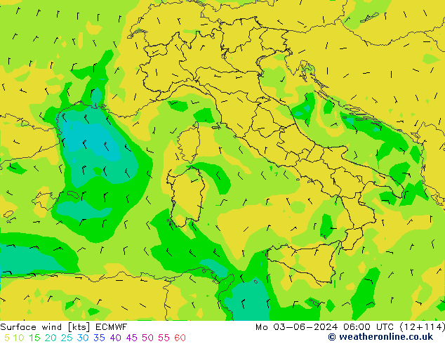 Surface wind ECMWF Po 03.06.2024 06 UTC