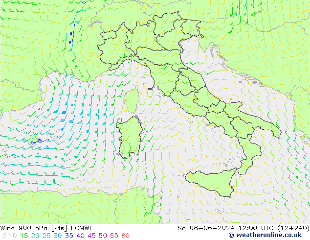 Vento 900 hPa ECMWF sab 08.06.2024 12 UTC