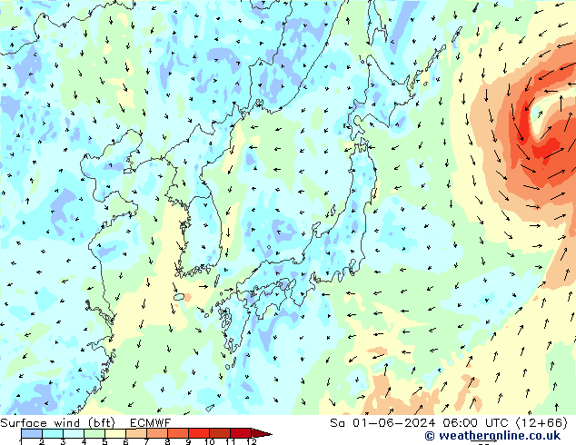 Wind 10 m (bft) ECMWF za 01.06.2024 06 UTC