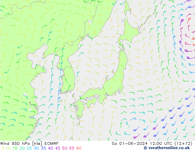 Yağış 6sa/Rüz. 10m/950 ECMWF Cts 01.06.2024 12 UTC