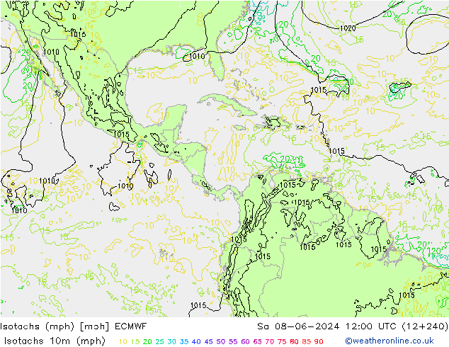 Isotachs (mph) ECMWF сб 08.06.2024 12 UTC