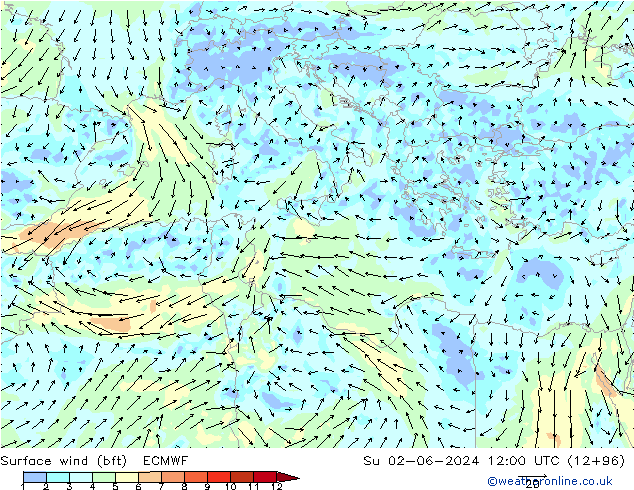 Surface wind (bft) ECMWF Ne 02.06.2024 12 UTC
