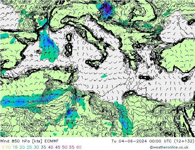  850 hPa ECMWF  04.06.2024 00 UTC