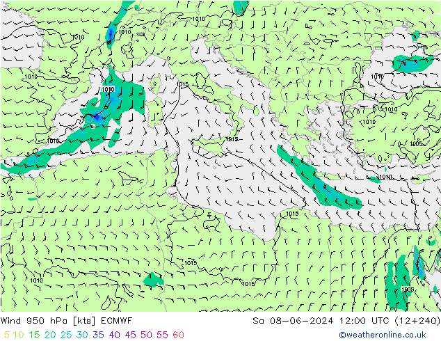 Rüzgar 950 hPa ECMWF Cts 08.06.2024 12 UTC