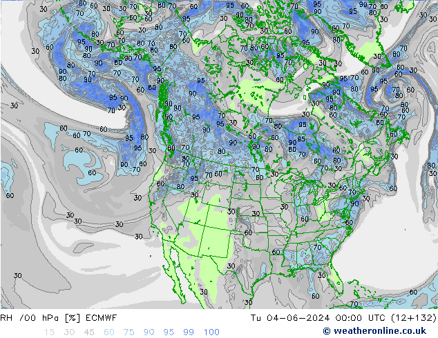 RV 700 hPa ECMWF di 04.06.2024 00 UTC