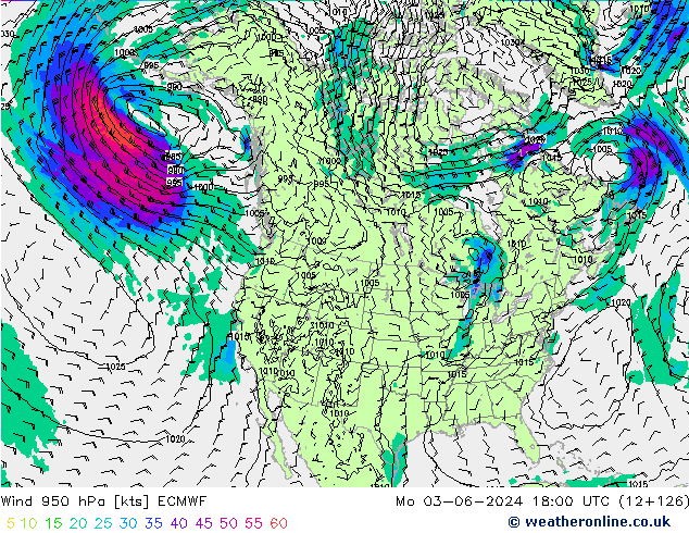 Rüzgar 950 hPa ECMWF Pzt 03.06.2024 18 UTC