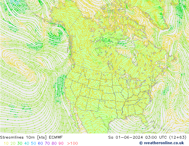 Streamlines 10m ECMWF Sa 01.06.2024 03 UTC