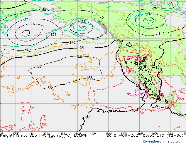 Z500/Rain (+SLP)/Z850 ECMWF Sa 01.06.2024 00 UTC