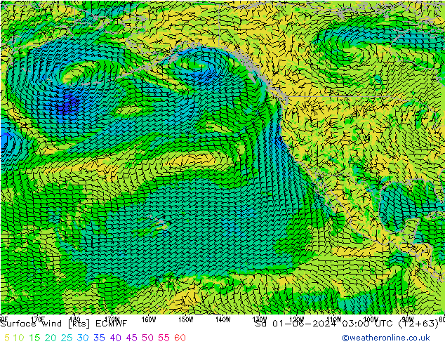 Wind 10 m ECMWF za 01.06.2024 03 UTC