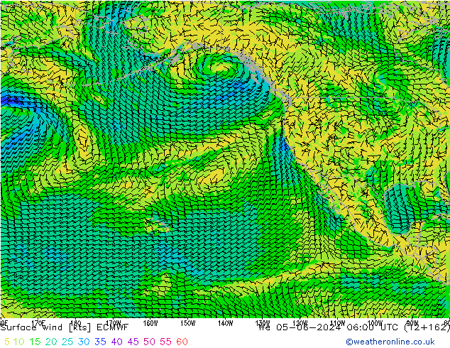 ветер 10 m ECMWF ср 05.06.2024 06 UTC