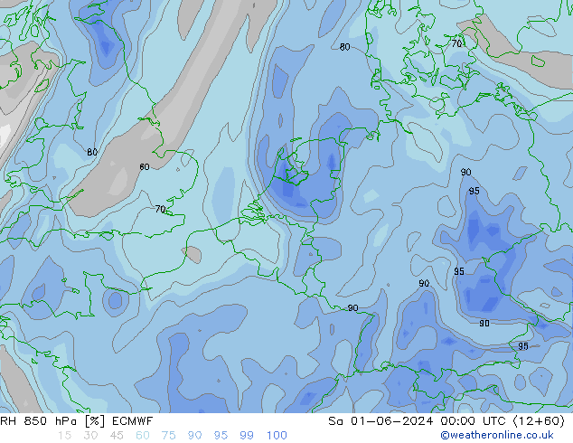 RH 850 hPa ECMWF  01.06.2024 00 UTC