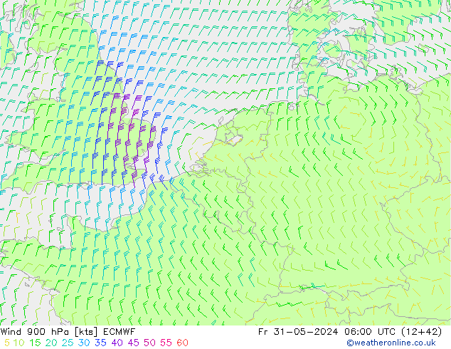 Wind 900 hPa ECMWF Fr 31.05.2024 06 UTC