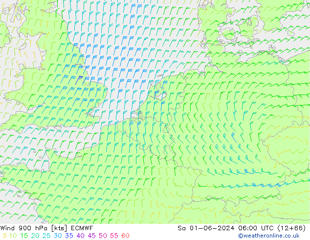 Wind 900 hPa ECMWF Sa 01.06.2024 06 UTC