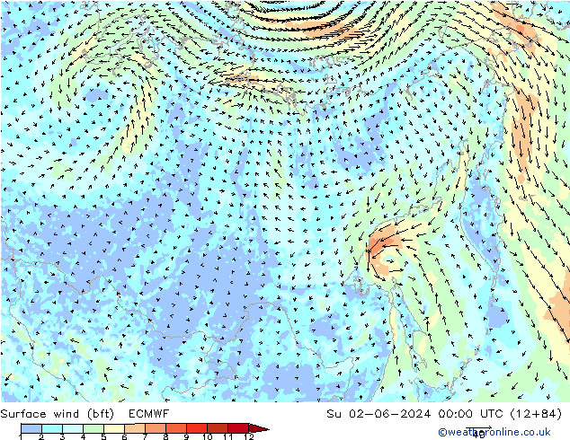 Vento 10 m (bft) ECMWF dom 02.06.2024 00 UTC