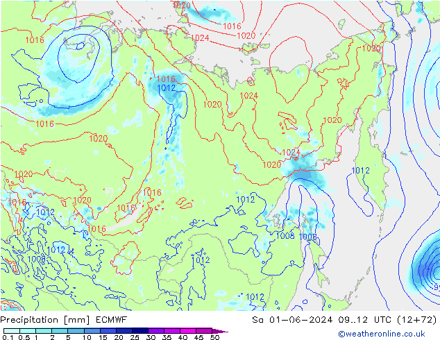 precipitação ECMWF Sáb 01.06.2024 12 UTC