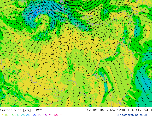Wind 10 m ECMWF za 08.06.2024 12 UTC
