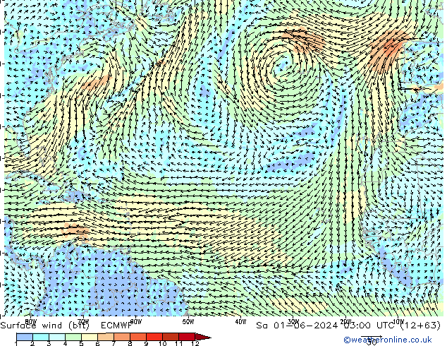 Surface wind (bft) ECMWF Sa 01.06.2024 03 UTC