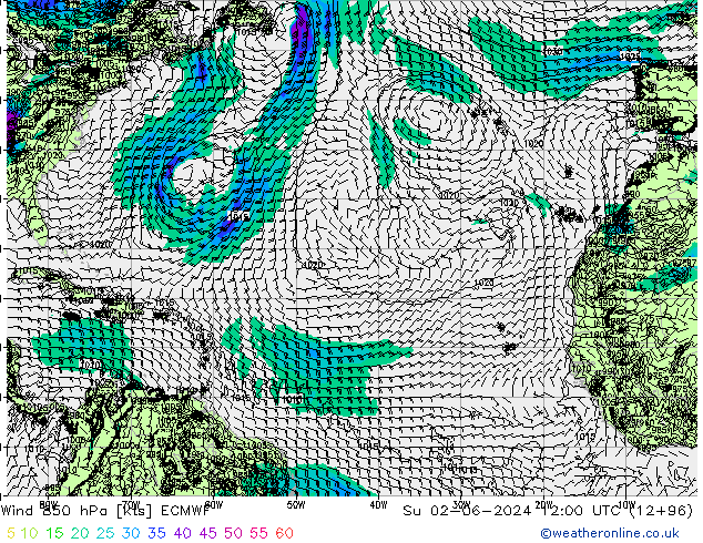 Vent 850 hPa ECMWF dim 02.06.2024 12 UTC