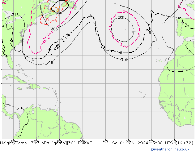 Height/Temp. 700 hPa ECMWF  01.06.2024 12 UTC