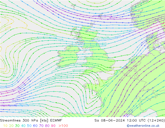 Streamlines 300 hPa ECMWF So 08.06.2024 12 UTC