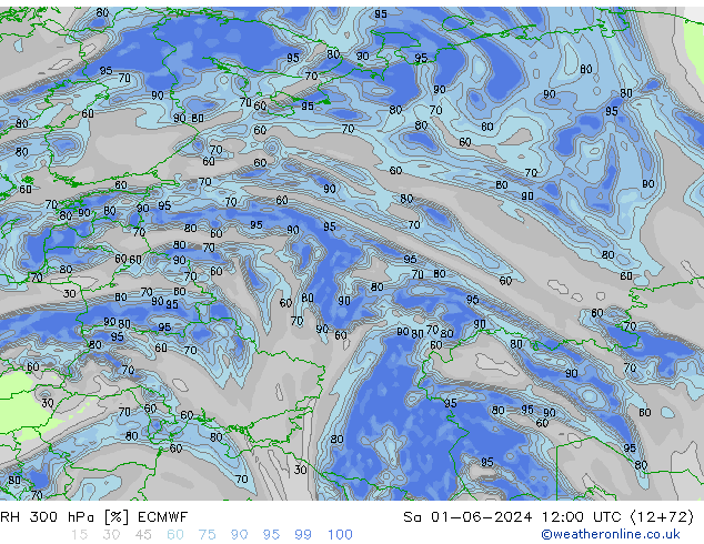 RH 300 hPa ECMWF Sa 01.06.2024 12 UTC