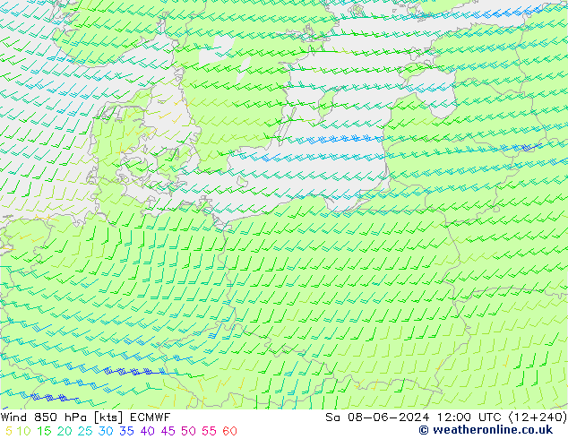 Vento 850 hPa ECMWF sab 08.06.2024 12 UTC