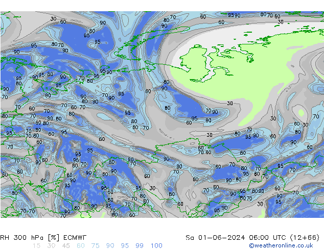 RH 300 hPa ECMWF sab 01.06.2024 06 UTC