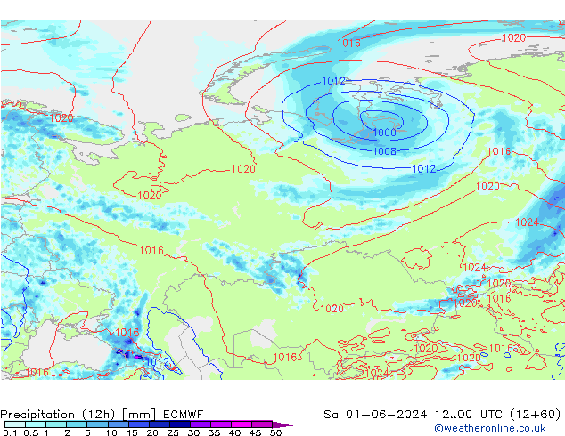 Precipitation (12h) ECMWF Sa 01.06.2024 00 UTC