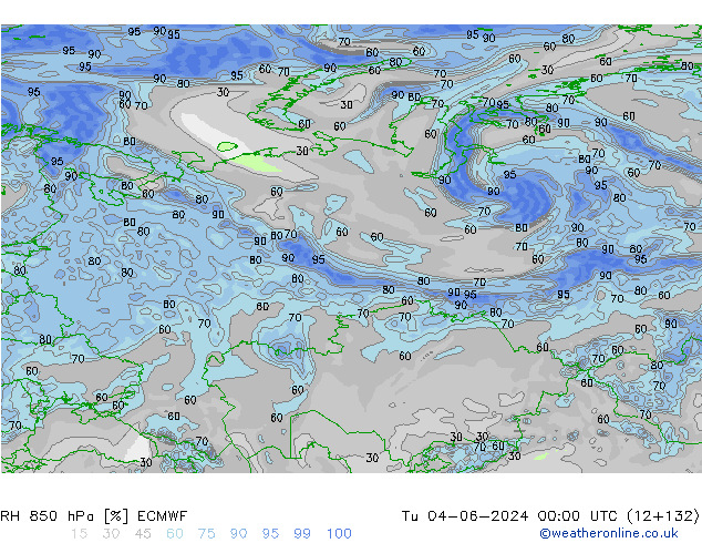 RH 850 hPa ECMWF  04.06.2024 00 UTC