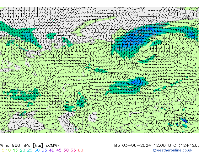 Wind 900 hPa ECMWF Mo 03.06.2024 12 UTC