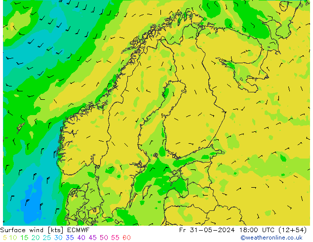 Surface wind ECMWF Fr 31.05.2024 18 UTC