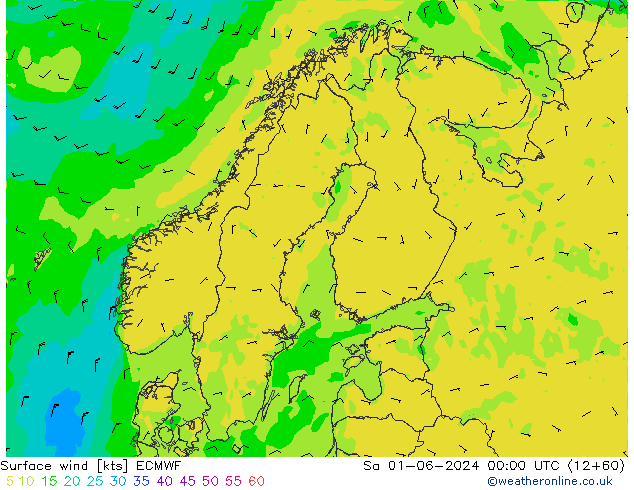 ветер 10 m ECMWF сб 01.06.2024 00 UTC