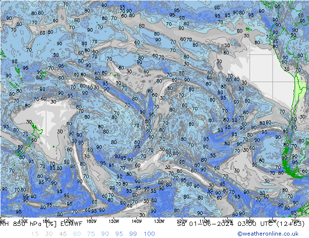 RH 850 hPa ECMWF  01.06.2024 03 UTC