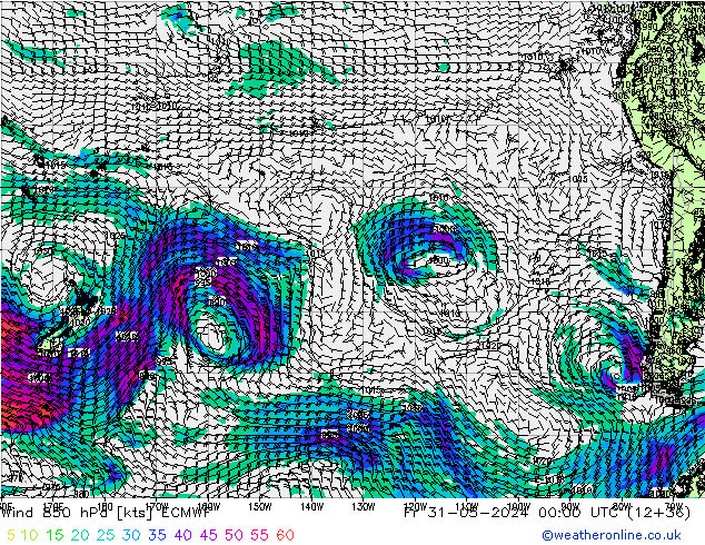 Wind 850 hPa ECMWF vr 31.05.2024 00 UTC