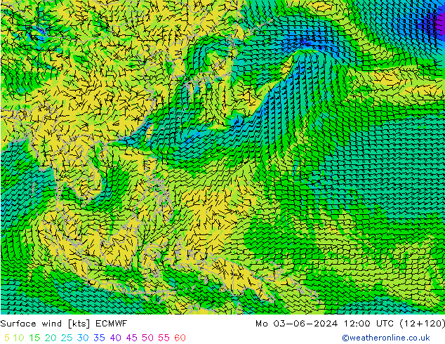 Surface wind ECMWF Mo 03.06.2024 12 UTC