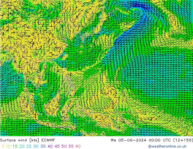 Surface wind ECMWF We 05.06.2024 00 UTC