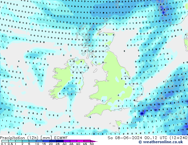 Precipitation (12h) ECMWF Sa 08.06.2024 12 UTC