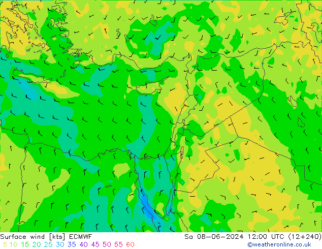 Surface wind ECMWF Sa 08.06.2024 12 UTC