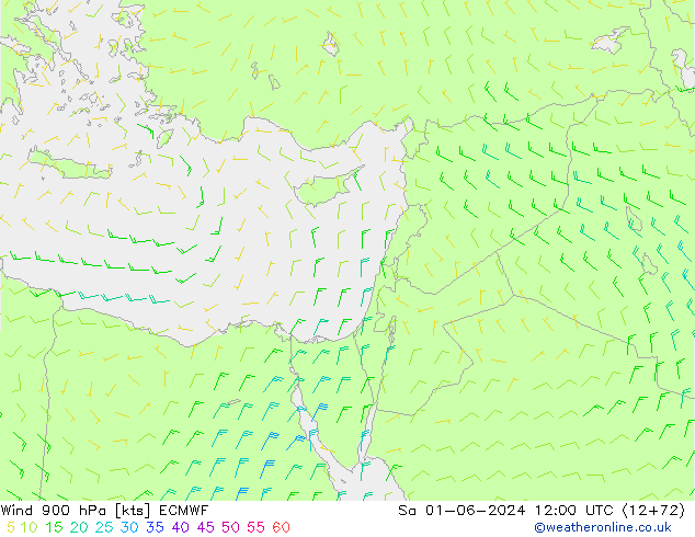  900 hPa ECMWF  01.06.2024 12 UTC