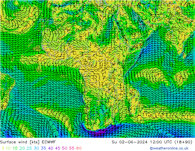 Wind 10 m ECMWF zo 02.06.2024 12 UTC