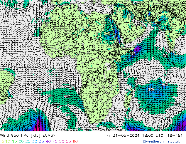 Wind 950 hPa ECMWF Fr 31.05.2024 18 UTC