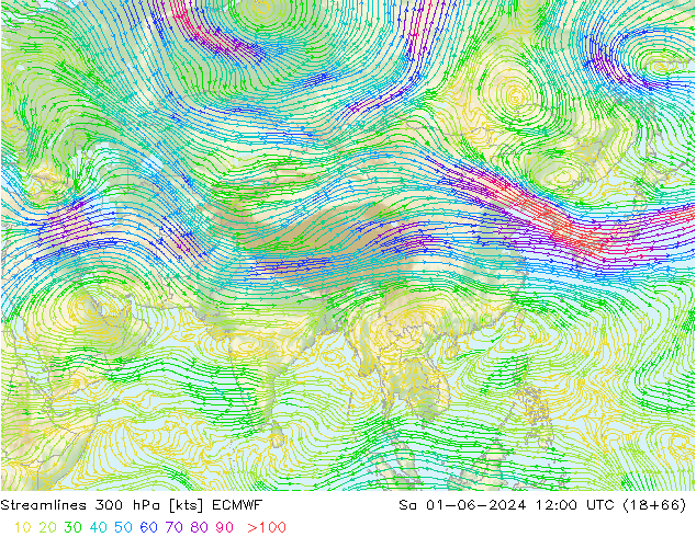 ветер 300 гПа ECMWF сб 01.06.2024 12 UTC