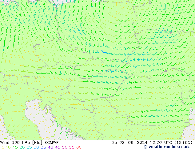 Wind 900 hPa ECMWF Ne 02.06.2024 12 UTC