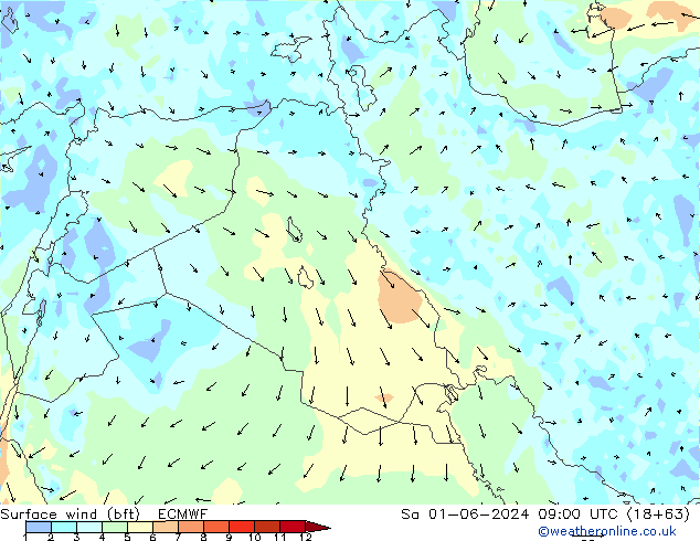 Surface wind (bft) ECMWF Sa 01.06.2024 09 UTC