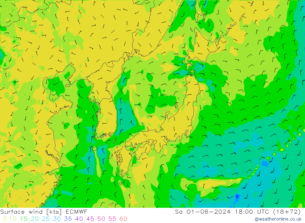 Yağış 6sa/Rüz. 10m/950 ECMWF Cts 01.06.2024 18 UTC