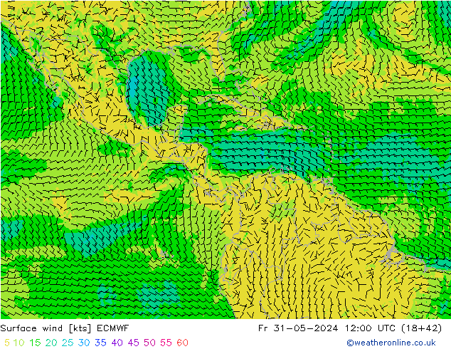 Rüzgar 10 m ECMWF Cu 31.05.2024 12 UTC