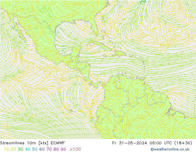 Stroomlijn 10m ECMWF vr 31.05.2024 06 UTC