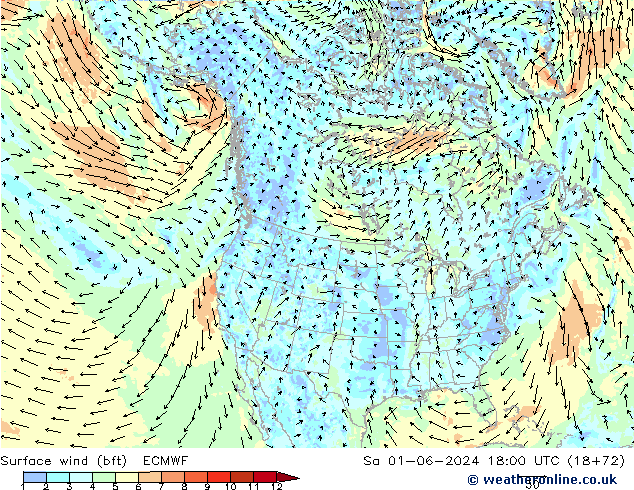 Surface wind (bft) ECMWF Sa 01.06.2024 18 UTC